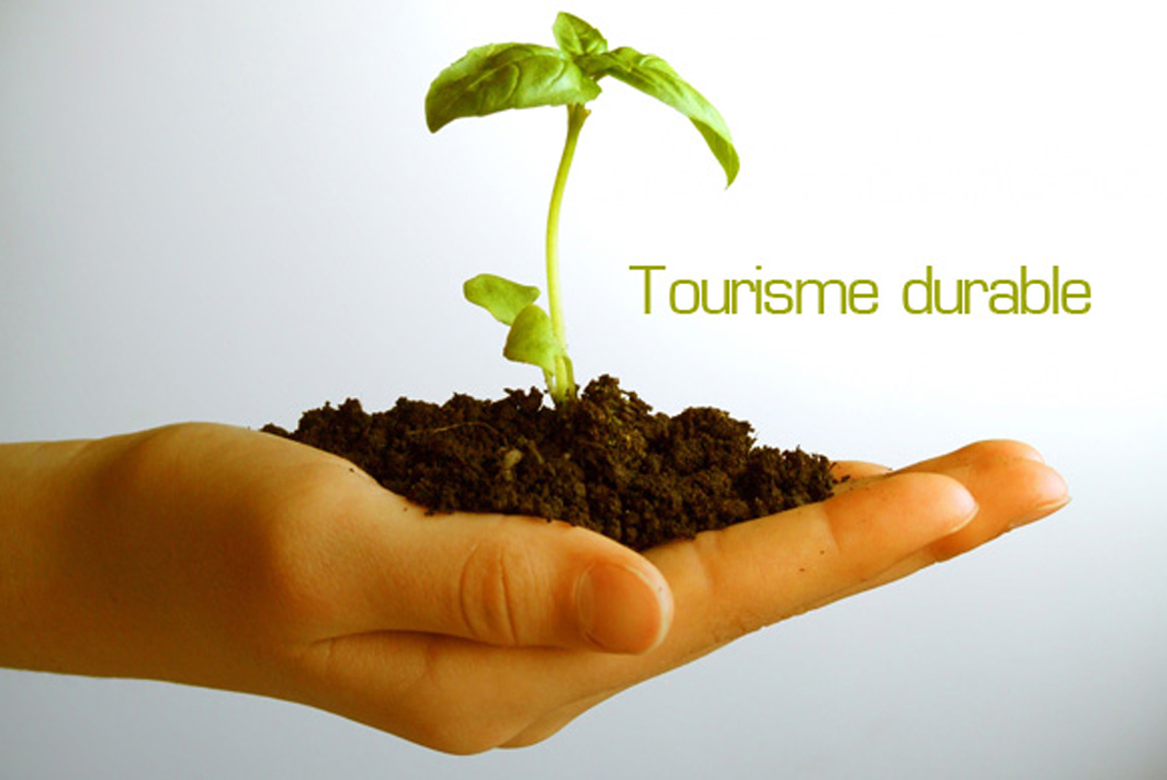 Diplôme en gestion en tourisme durable Image 1